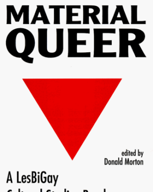خرید کتاب The Material Queer: A Lesbigay Cultural Studies Reader (Queer Critique)